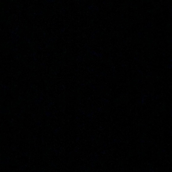 Meet your Posher, Bella - Picture 1 of 1